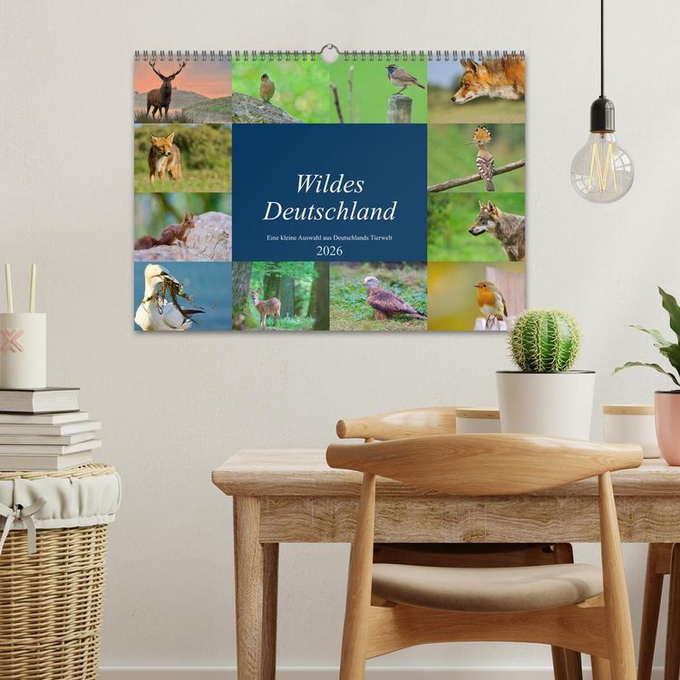 Produktbild: Wildes Deutschland (Wandkalender 2026 DIN A3 quer), CALVENDO Monatskalender