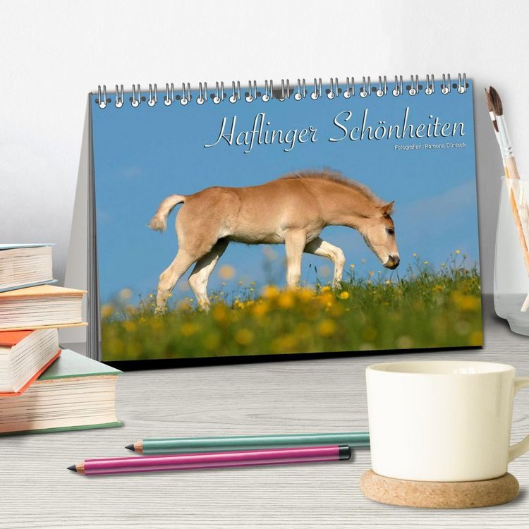 Produktbild: Haflinger Sch&ouml;nheiten (Tischkalender 2027 DIN A5 quer), CALVENDO Monatskalender