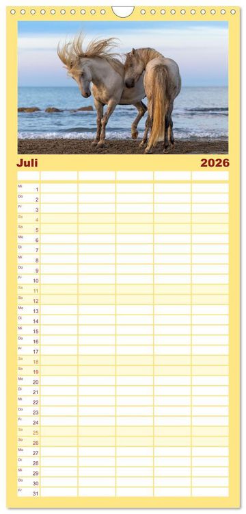 Produktbild: Familienplaner 2026 - Die wei&szlig;en Pferde der Camargue mit 5 Spalten (Wandkalender, 21 x 45 cm) CALVENDO