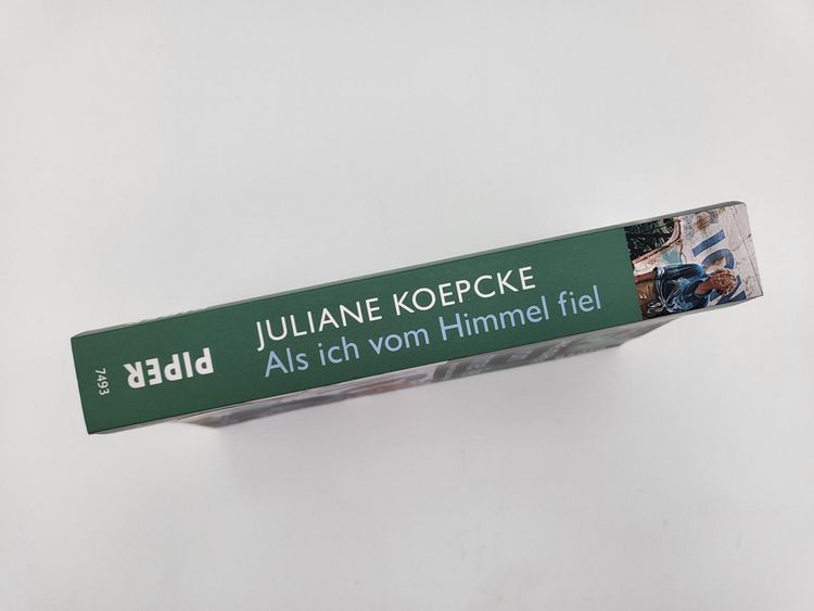 Produktbild: Als ich vom Himmel fiel