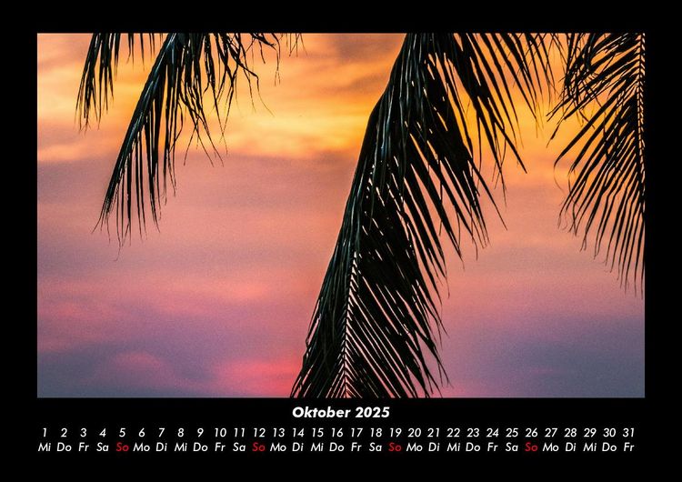 Produktbild: Palmentraum 2025 Fotokalender DIN A3