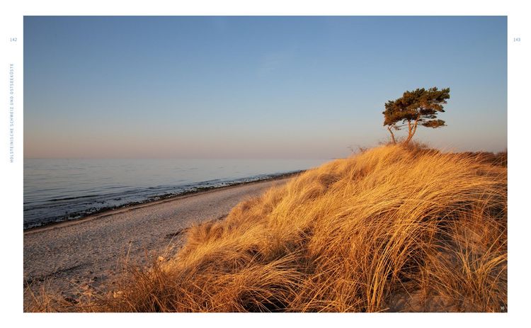Produktbild: Wild Guide Hamburg & der Nordwesten