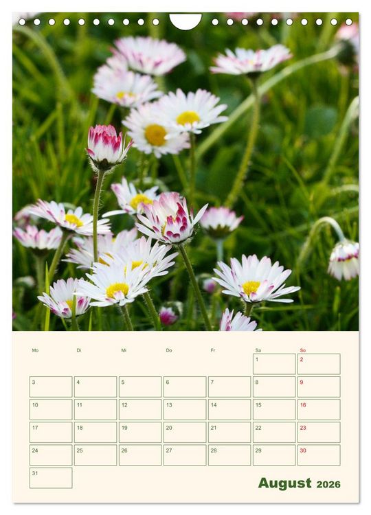 Produktbild: Vertr&auml;umte G&auml;nsebl&uuml;mchen (Wandkalender 2026 DIN A4 hoch), CALVENDO Monatskalender