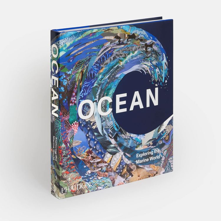 Produktbild: Ocean, Exploring the Marine World