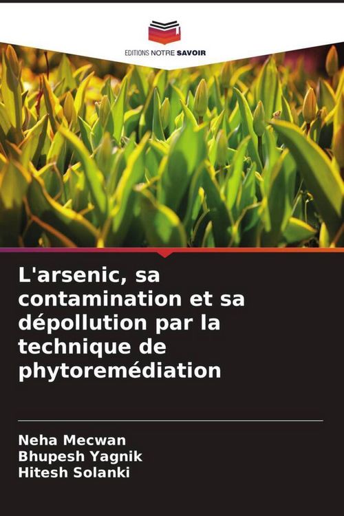 Produktbild: L'arsenic, sa contamination et sa d&eacute;pollution par la technique de phytorem&eacute;diation