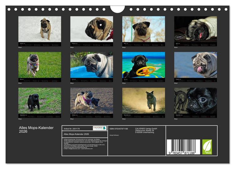 Produktbild: Alles Mops-Kalender 2026 (Wandkalender 2026 DIN A4 quer), CALVENDO Monatskalender