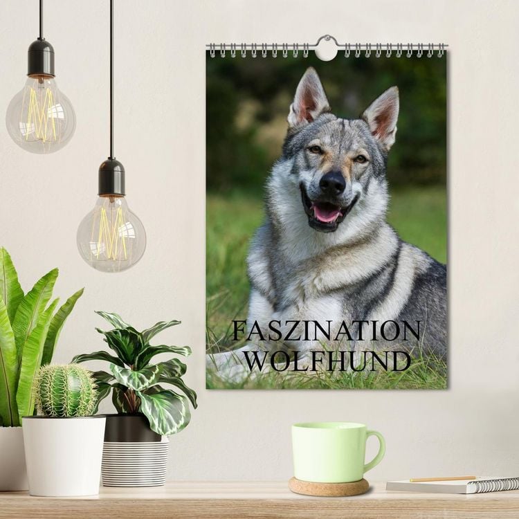 Produktbild: Faszination Wolfhund (Wandkalender 2026 DIN A4 hoch), CALVENDO Monatskalender