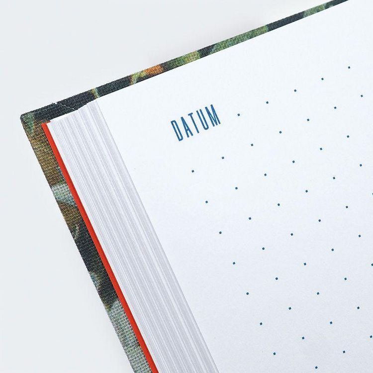 Produktbild: 100 Seiten Leben