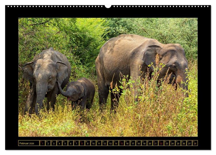 Produktbild: Sri Lanka - Landschaft und Kultur (Wandkalender 2026 DIN A2 quer), CALVENDO Monatskalender