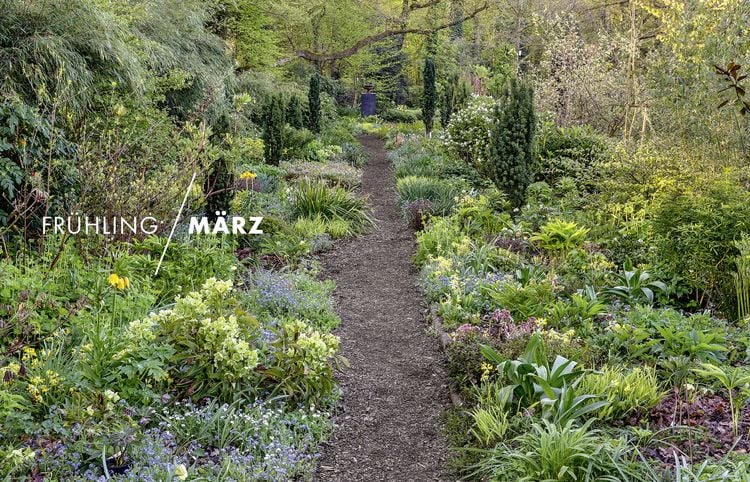 Produktbild: Peter Janke: Mein Garten im Wandel des Zeitgeistes und des Klimas