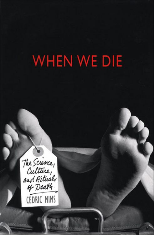 Produktbild: When We Die