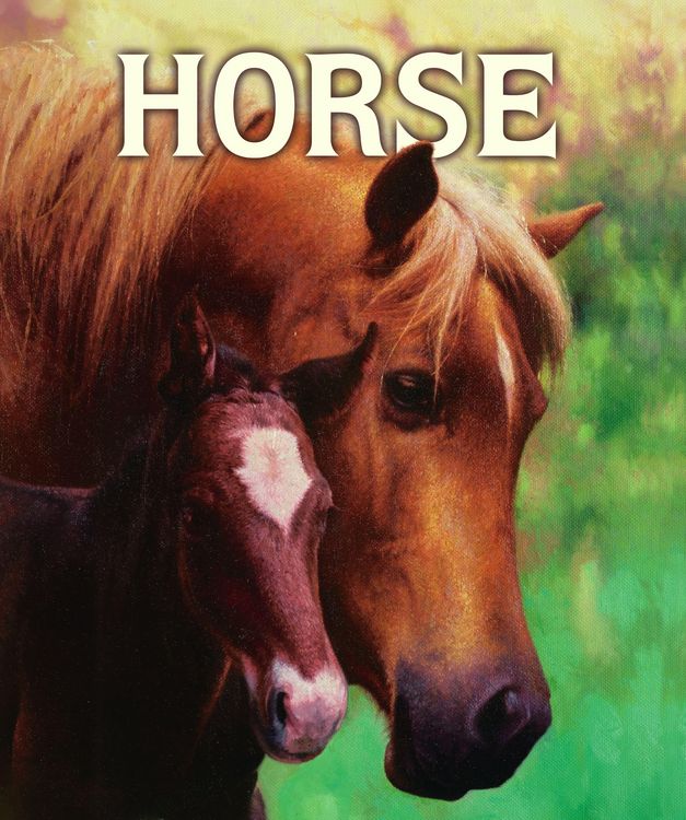 Produktbild: Horse
