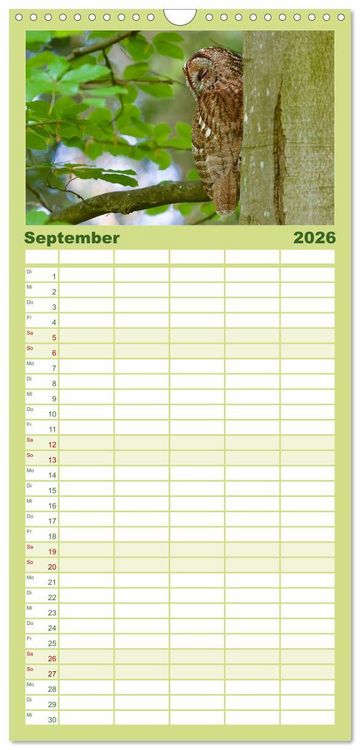 Produktbild: Familienplaner 2026 - geliebte Waldgeister mit 5 Spalten (Wandkalender, 21 x 45 cm) CALVENDO