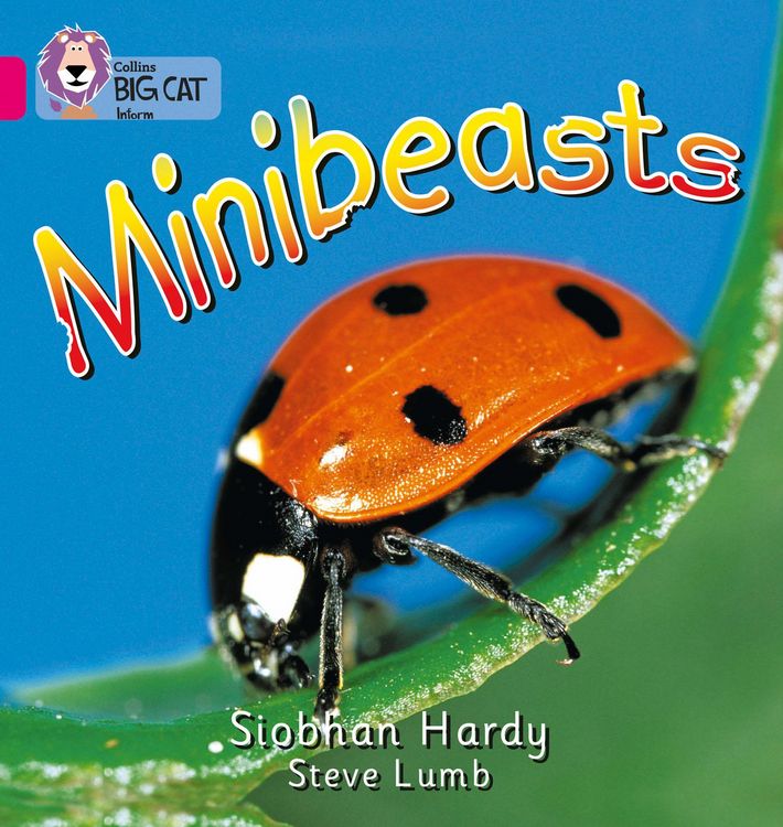 Produktbild: BIG CAT - MINIBEASTS