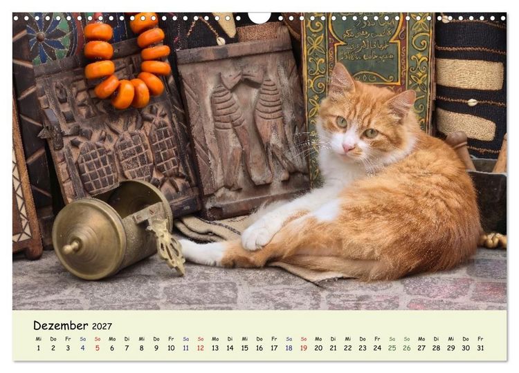 Produktbild: MarokkoCats (Wandkalender 2027 DIN A3 quer), CALVENDO Monatskalender