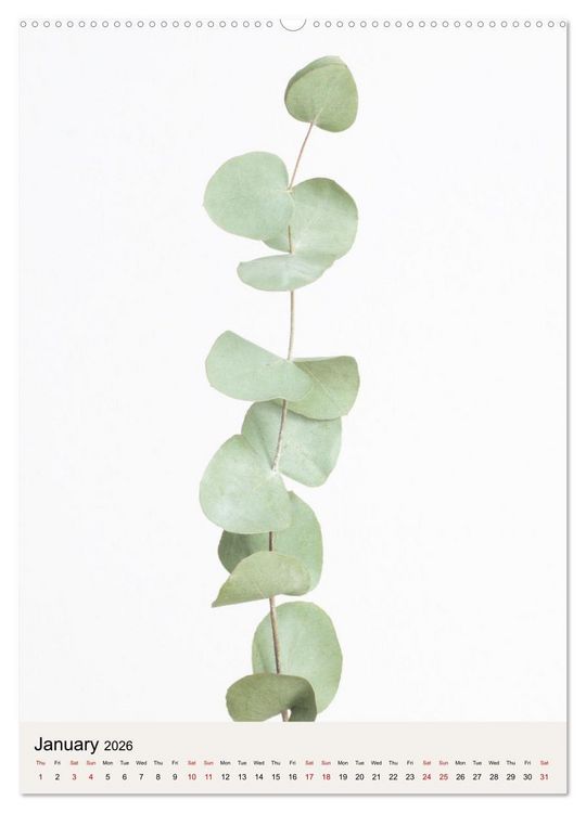 Produktbild: Dried Flowers (Wall Calendar 2026 DIN A2 portrait), CALVENDO 12 Month Wall Calendar