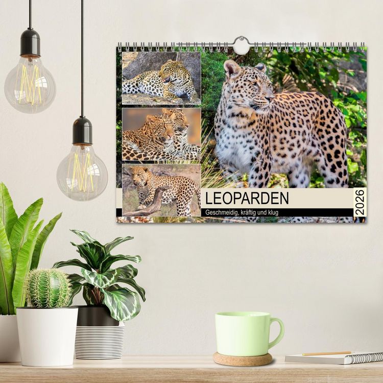 Produktbild: Leoparden. Geschmeidig, kr&auml;ftig und klug (Wandkalender 2026 DIN A4 quer), CALVENDO Monatskalender