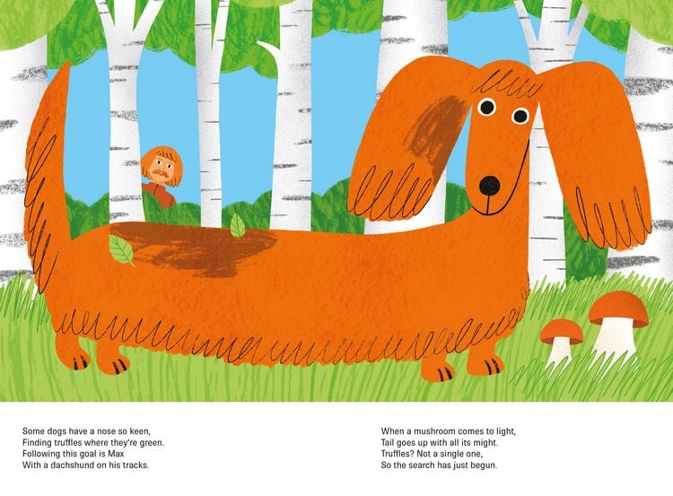 Produktbild: The Most Colorful Dog Walk