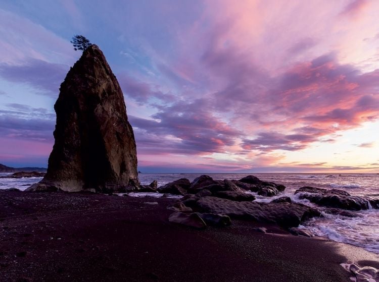 Produktbild: Rialto Beach - Olympic National Park (Puzzle)