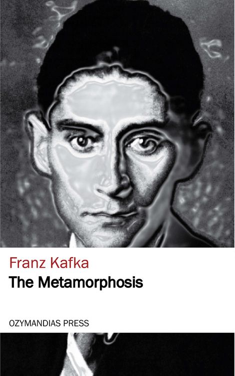 Produktbild: The Metamorphosis