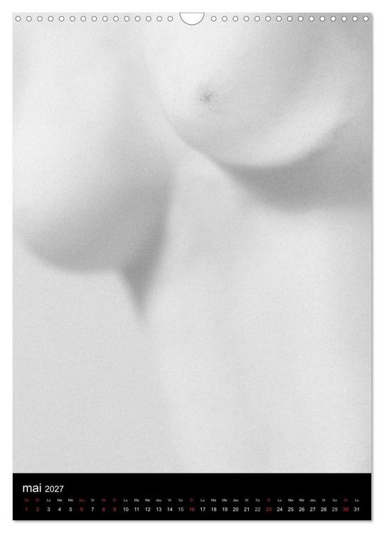 Produktbild: F&eacute;minit&eacute; (Calendrier mural 2027 DIN A3 horizontal), CALVENDO calendrier mensuel