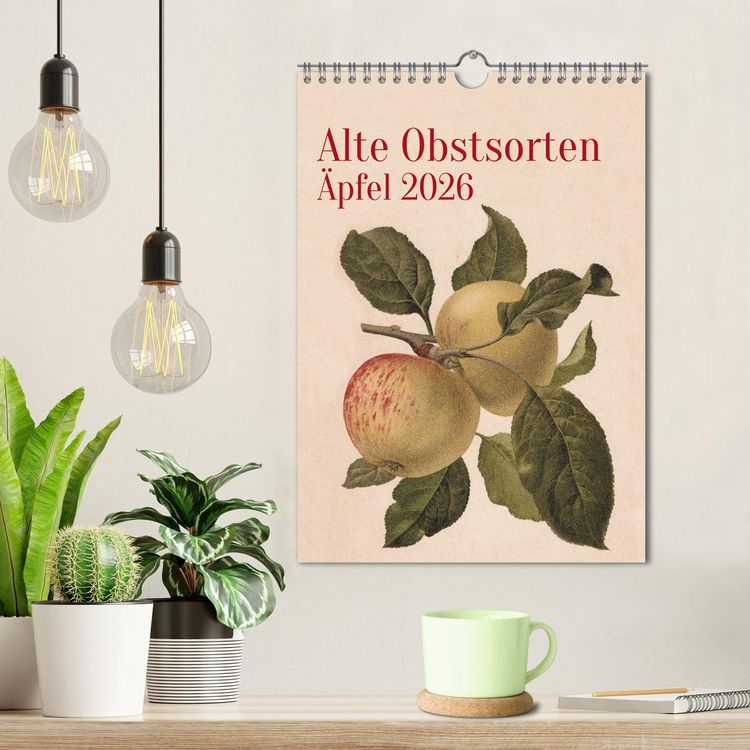 Produktbild: Alte Obstsorten - &Auml;pfel 2026 (Wandkalender 2026 DIN A4 hoch), CALVENDO Monatskalender
