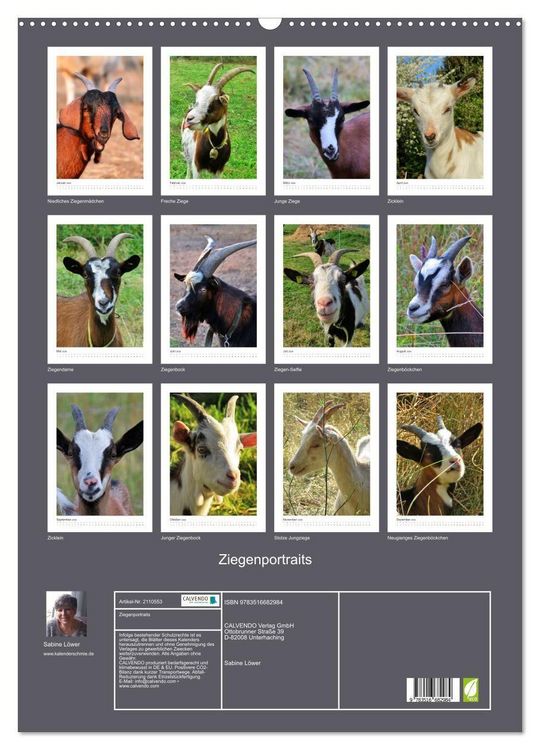 Produktbild: Ziegenportraits (Wandkalender 2026 DIN A2 hoch), CALVENDO Monatskalender