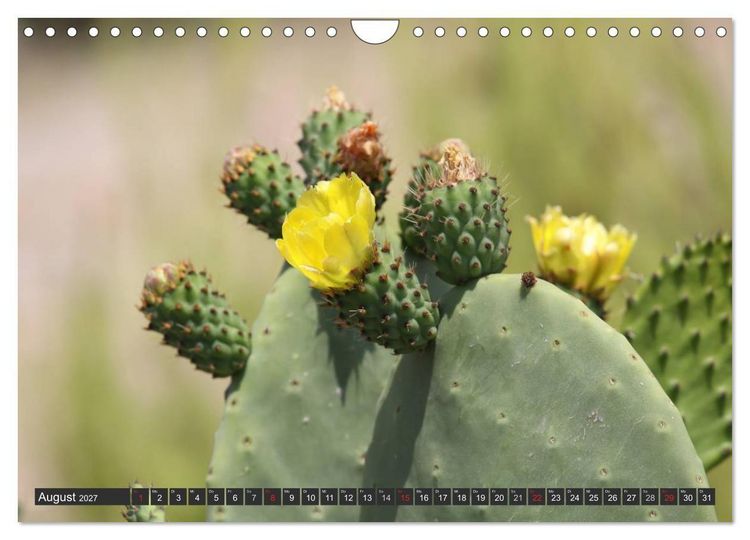 Produktbild: Ibiza - Balearen (Wandkalender 2027 DIN A4 quer), CALVENDO Monatskalender