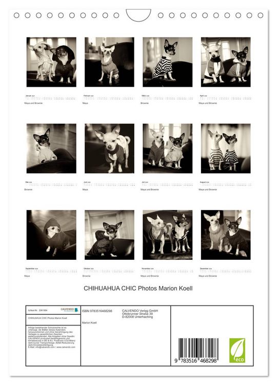 Produktbild: CHIHUAHUA CHIC Photos Marion Koell (Wandkalender 2026 DIN A4 hoch), CALVENDO Monatskalender