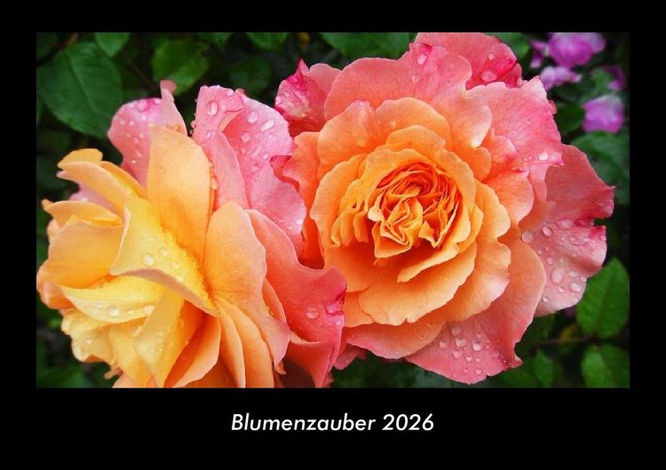 Produktbild: Blumenzauber 2026 Fotokalender DIN A3