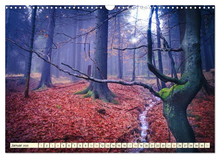 Produktbild: Mystische W&auml;lder - Zauber der Natur (Wandkalender 2026 DIN A3 quer), CALVENDO Monatskalender