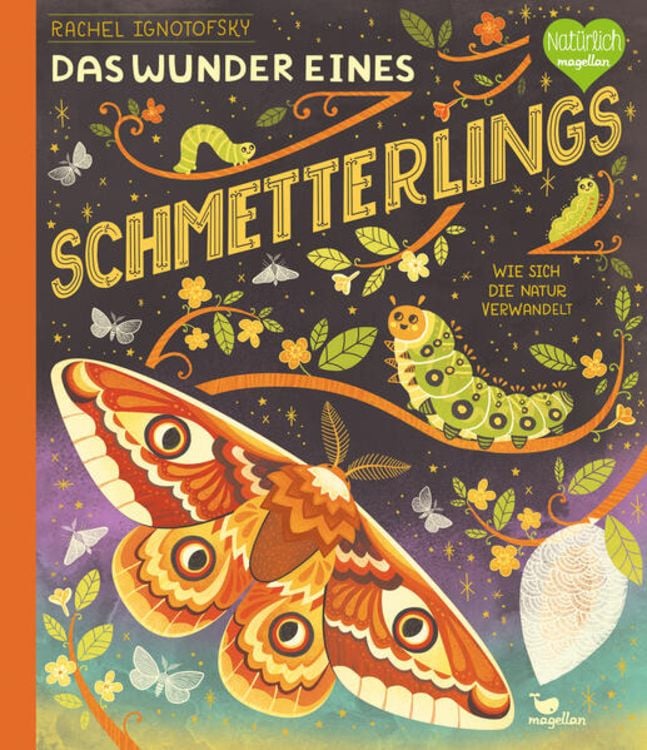 Produktbild: Das Wunder eines Schmetterlings