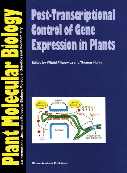 Produktbild: Masters Theses in the Pure and Applied Sciences