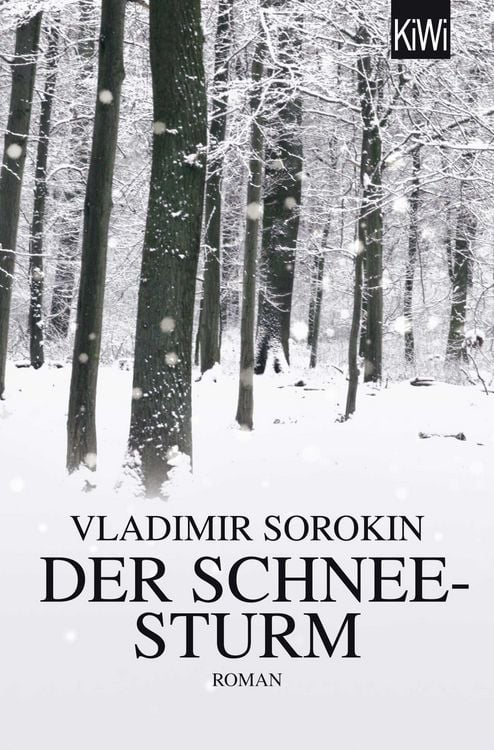 Produktbild: Der Schneesturm