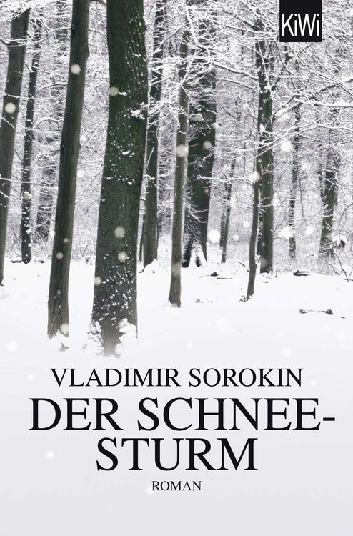Produktbild: Der Schneesturm