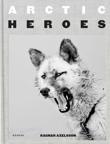 Produktbild: Arctic Heroes