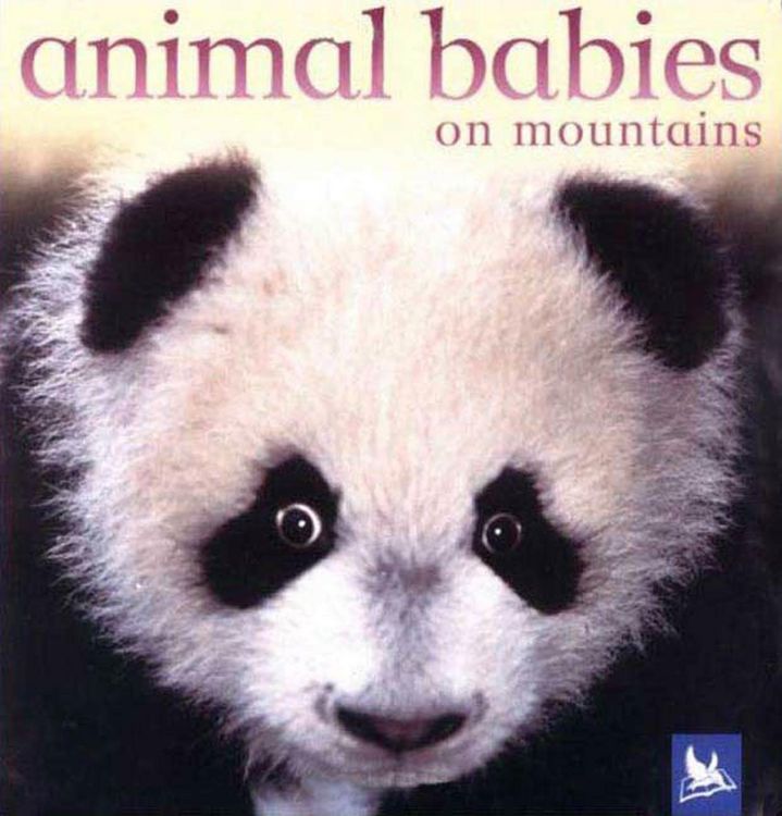 Produktbild: Animal Babies on Mountains