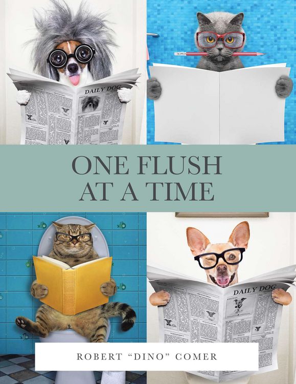 Produktbild: One Flush at a Time