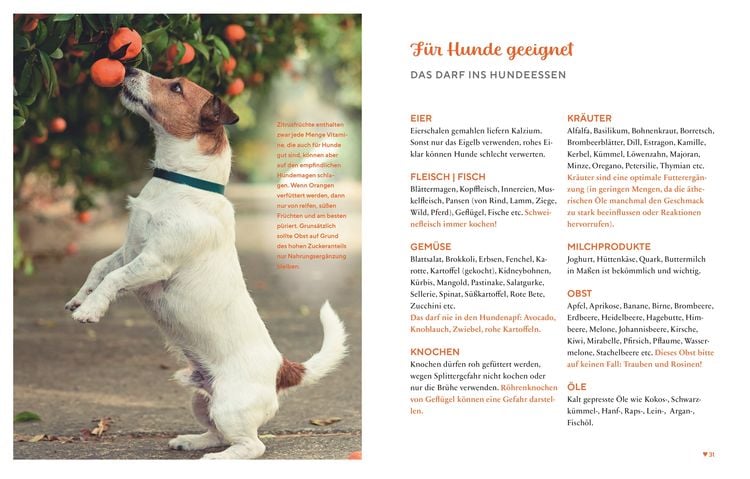 Produktbild: Gesund & lecker: Kochen f&uuml;r den Hund