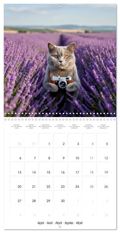 Produktbild: Le duc gris en voyage (Calendrier mural carr&eacute; 2026 30x30 cm) Calendrier double avec une page pour vos prises de notes