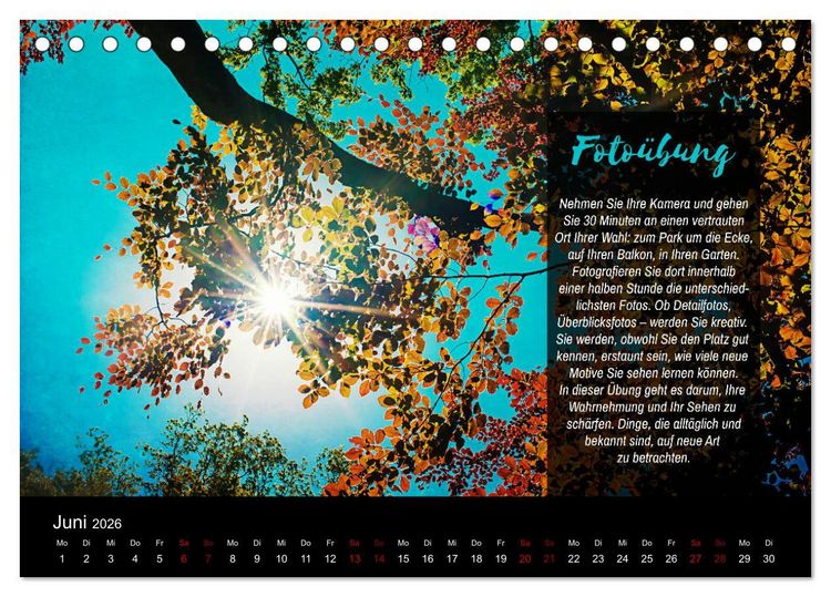 Produktbild: Die Sch&ouml;nheit der Natur - Naturfotografie-Kalender mit Foto- und Kreativ&uuml;bungen (Tischkalender 2026 DIN A5 quer), CALVENDO Monatskalender