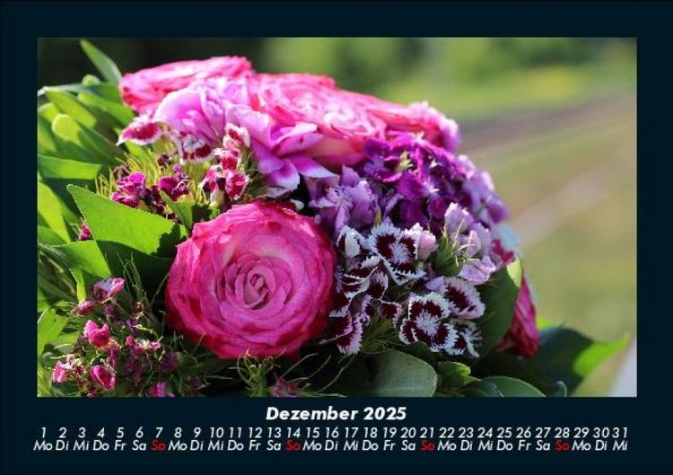 Produktbild: Pflanzen und Bl&uuml;ten 2025 Fotokalender DIN A5