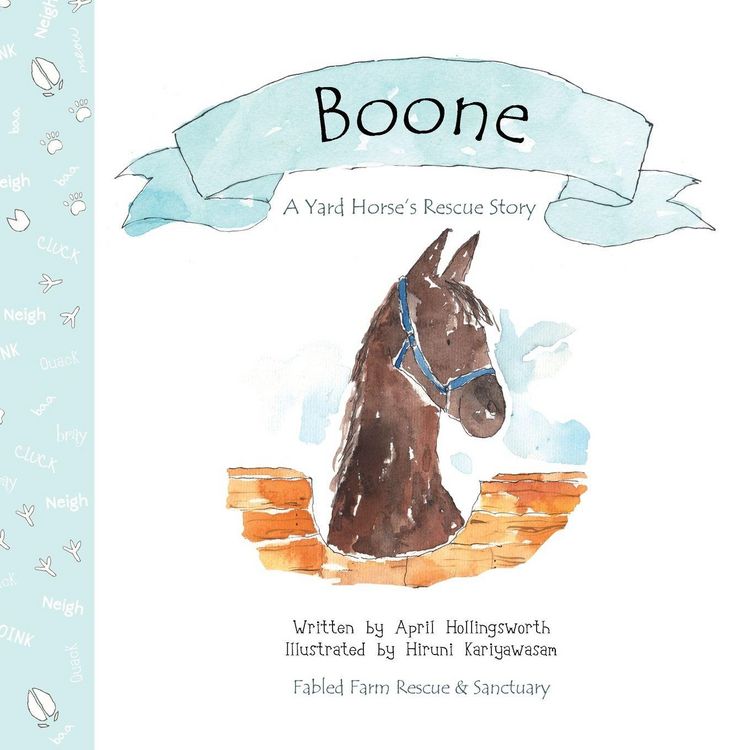 Produktbild: Boone - A Yard Horse's Rescue Story