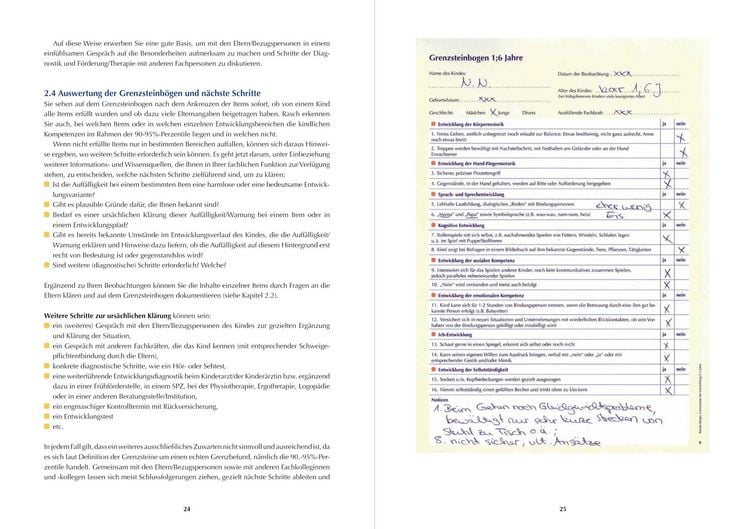 Produktbild: Grenzsteine der Entwicklung nach Michaelis. Manual