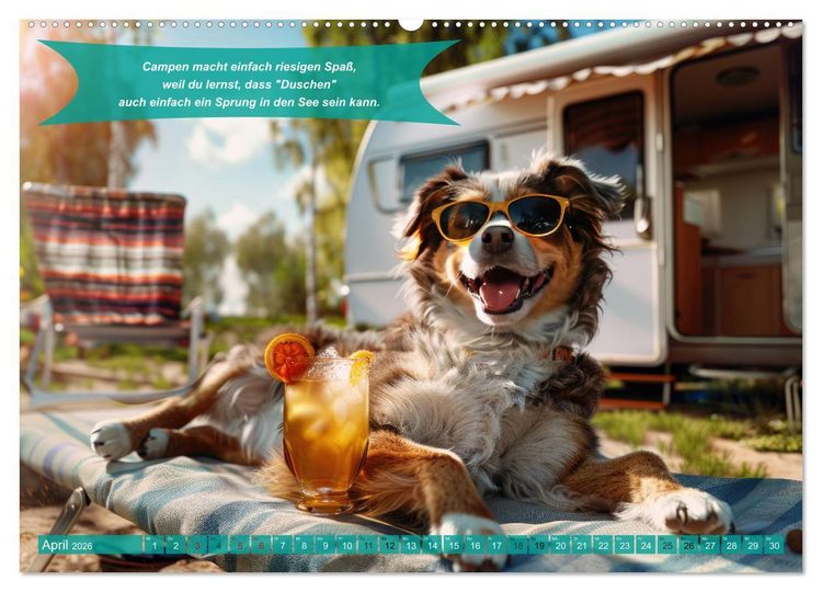 Produktbild: Der tierisch lustige Camping-Kalender (Wandkalender 2026 DIN A2 quer), CALVENDO Monatskalender