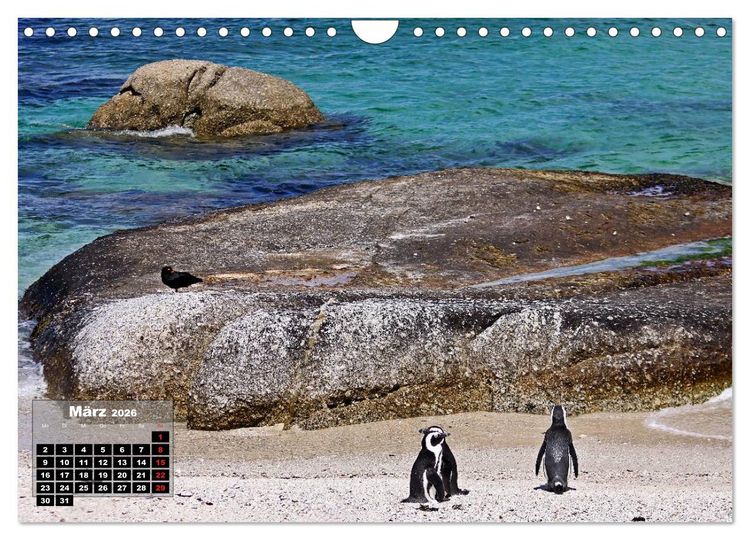 Produktbild: S&Uuml;DAFRIKA - Landschaften der Extreme (Wandkalender 2026 DIN A4 quer), CALVENDO Monatskalender