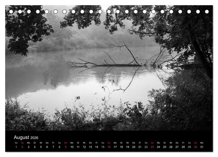 Produktbild: B&auml;ume trees 2026 (Tischkalender 2026 DIN A5 quer), CALVENDO Monatskalender