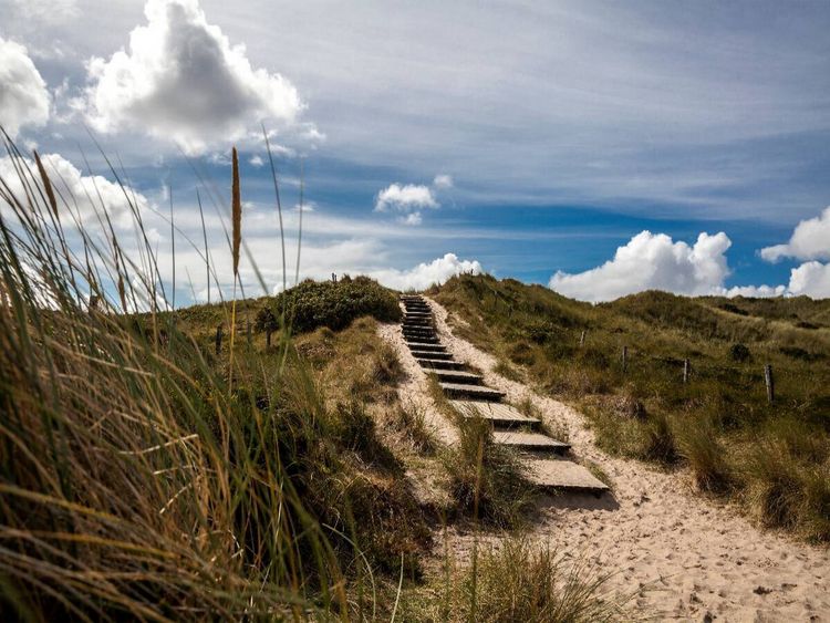 Produktbild: CALVENDO Puzzle Strandgras, Treppe in die D&uuml;nen | 1000 Teile Lege-Gr&ouml;&szlig;e 64x48cm Foto-Puzzle f&uuml;r gl&uuml;ckliche Stunden