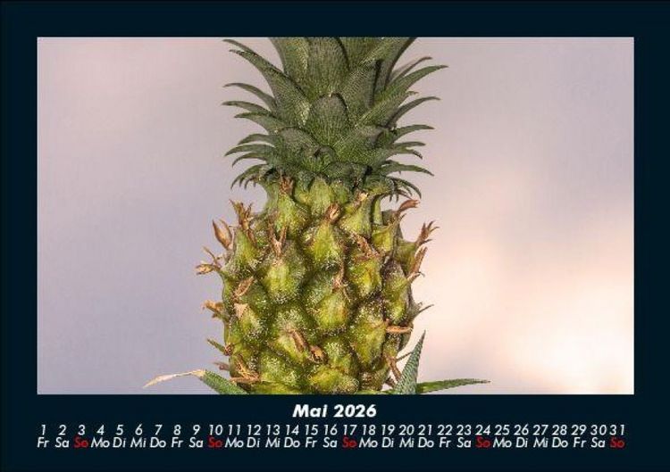 Produktbild: Obstkalender 2026 Fotokalender DIN A5