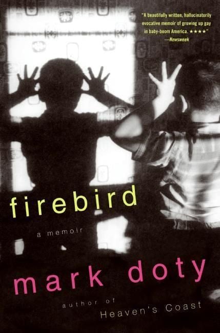 Produktbild: Firebird